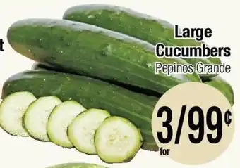Large Cucumbers