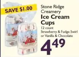 Festival Foods Stone Ridge Creamery Ice Cream Cups offer