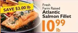 Festival Foods Fresh Farm Raised Atlantic Salmon Fillet offer