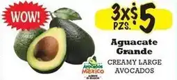 La Michoacana Aguacate Grande Creamy Large Avocados offer