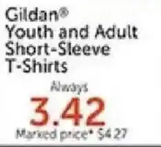 Hobby Lobby Gildan youth and adult short-sleeve t-shirts offer