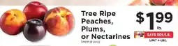 ShopRite Tree Ripe Peaches, Plums, or Nectarines offer