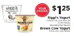 ShopRite Siggis Yogurt Brown Cow Yogurt offer
