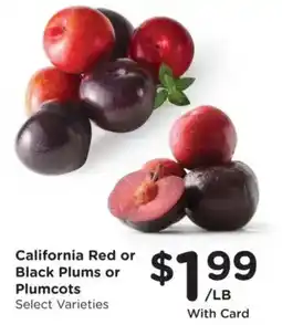 King Soopers California Red or Black Plums or Plumcots offer