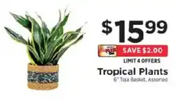 ShopRite Tropical Plants offer