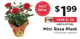 ShopRite Mini Rose Plant offer