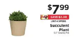 ShopRite Succulent Plant offer