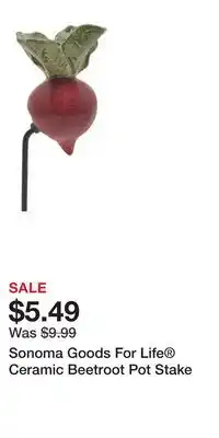 Kohl's Sonoma Goods For Life Ceramic Beetroot Pot Stake offer