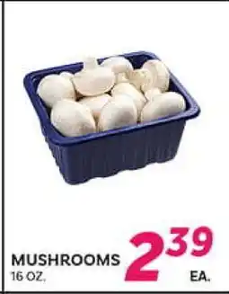 El Paso Grande MUSHROOMS offer