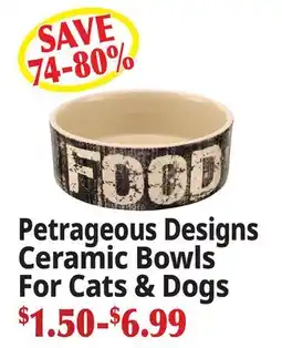 Ocean State Job Lot Petrageous Designs Ceramic Bowls For Cats & Dogs offer