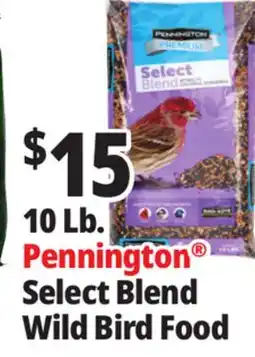 Ocean State Job Lot Pennington Premium Select Blend Bird Seed 10 lb offer