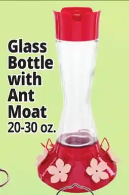Ocean State Job Lot Glass Bottle with Ant Moat offer
