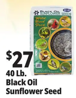 Ocean State Job Lot 40 Lb. Black Oil Sunflower Seed offer