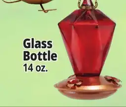 Ocean State Job Lot Glass Bottle offer