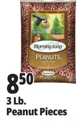 Ocean State Job Lot 3 Lb. Peanut Pieces offer