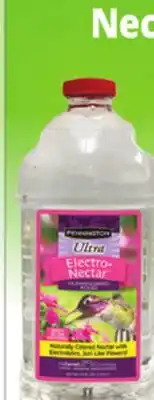 Ocean State Job Lot PENNINGTON Clear Ultra Nectar with Electrolytes offer