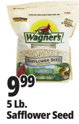 Ocean State Job Lot Safflower Seed offer