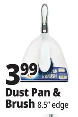 Ocean State Job Lot Dust Pan & Brush offer