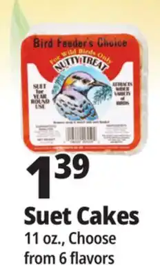 Ocean State Job Lot Bird Feeder's Choice High Energy Suet 11 oz offer