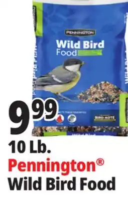 Ocean State Job Lot Pennington Wild Bird Food offer