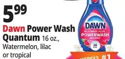 Ocean State Job Lot Dawn Power Wash Quantum offer