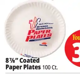 Ocean State Job Lot Leisure Way Paper Plates 100 ct 8.875 offer