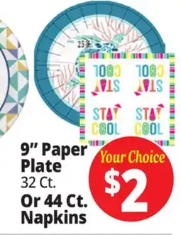 Ocean State Job Lot 9 Paper Plate Or 44 Ct. Napkins offer