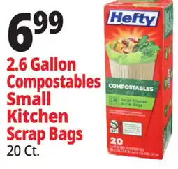 Ocean State Job Lot Hefty Compostable Small Kitchen Scrap Bags 20 Count offer
