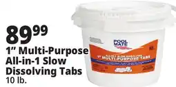 Ocean State Job Lot 1 Multi-Purpose All-in-1 Slow Dissolving Tabs offer