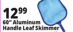 Ocean State Job Lot 60 Aluminum Handle Leaf Skimmer offer