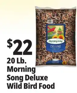 Ocean State Job Lot Morning Song Deluxe Wild Bird Food 20 lbs offer