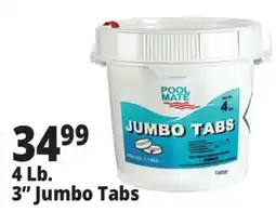 Ocean State Job Lot 4 Lb. 3 Jumbo Tabs offer