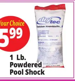 Ocean State Job Lot Powdered Pool Shock offer