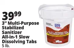 Ocean State Job Lot 3 Multi-Purpose Stabilized Sanitizer All-in-1 Slow Dissolving Tabs offer