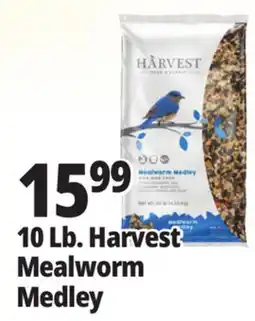 Ocean State Job Lot 10 Lb. Harvest Mealworm Medley offer