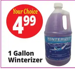 Ocean State Job Lot Pool Winterizer 1 Gal offer