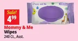 Ocean State Job Lot Mommy & Me Wipes offer