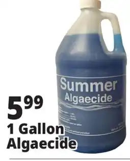Ocean State Job Lot 1 Gallon Algaecide offer