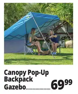 Ocean State Job Lot Canopy Pop-Up Backpack Gazebo offer