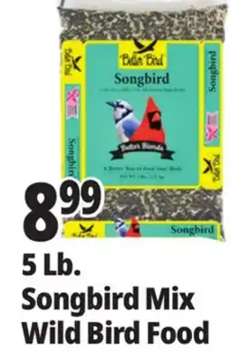 Ocean State Job Lot Songbird Mix Wild Bird Food offer