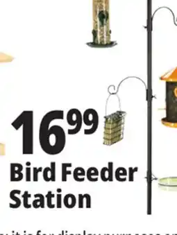Ocean State Job Lot Bird Feeder Station offer