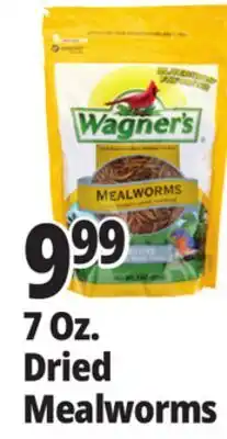 Ocean State Job Lot Wagner's Bird Meal Worms 7oz offer