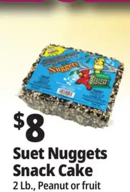 Ocean State Job Lot Suet Nuggets Snack Cake offer