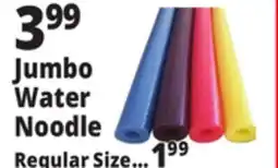 Ocean State Job Lot Jumbo Water Noodle offer