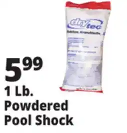 Ocean State Job Lot 1 Lb. Powdered Pool Shock offer