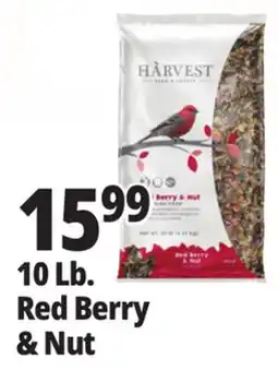 Ocean State Job Lot 10 Lb. Red Berry & Nut offer
