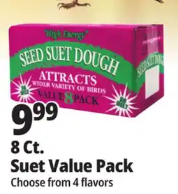 Ocean State Job Lot 8 Ct. Suet Value Pack offer