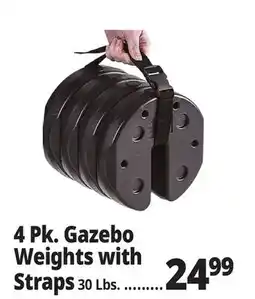 Ocean State Job Lot 4 Pk. Gazebo Weights with Straps offer
