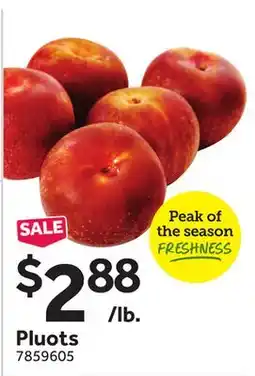 Stop&Shop Pluots offer