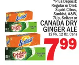 C Town CANADA DRY GINGER ALE offer